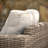 Napoli Outdoor Lounge Chair