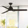 Lasalle 52'' Ceiling Fan with LED Lights