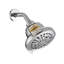 Pomme de douche fixe 1,8 GPM GPM-100682931