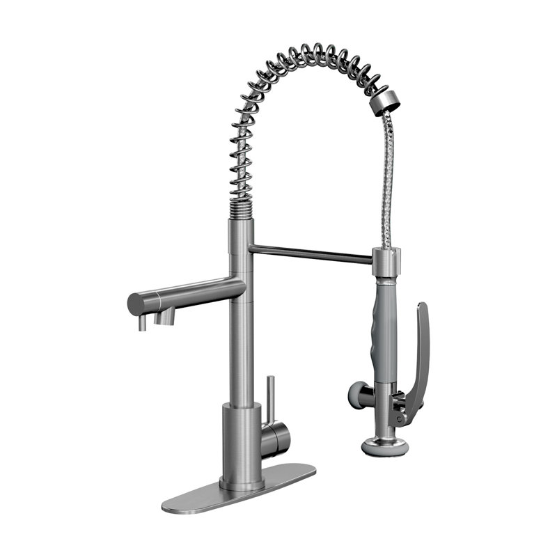Modern Kitchen Faucets, Brushed Nickel Steel Industrial Sink Sprayer