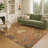 Machine Washable Indoor/Outdoor Chantille ACN2616 Floral Rug-1767427026-1767427017