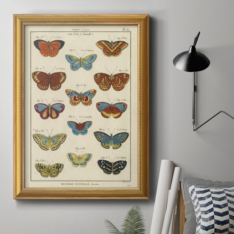 Histoire Naturelle, impression de papillons, L 18 po x H 27 po