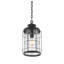 Lanterne suspendue d’extérieur 16,13 po 1 ampoule en noir oxydé Aruba