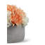 Opaline RealTouch Botanical