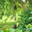 Natividad Rain Chain