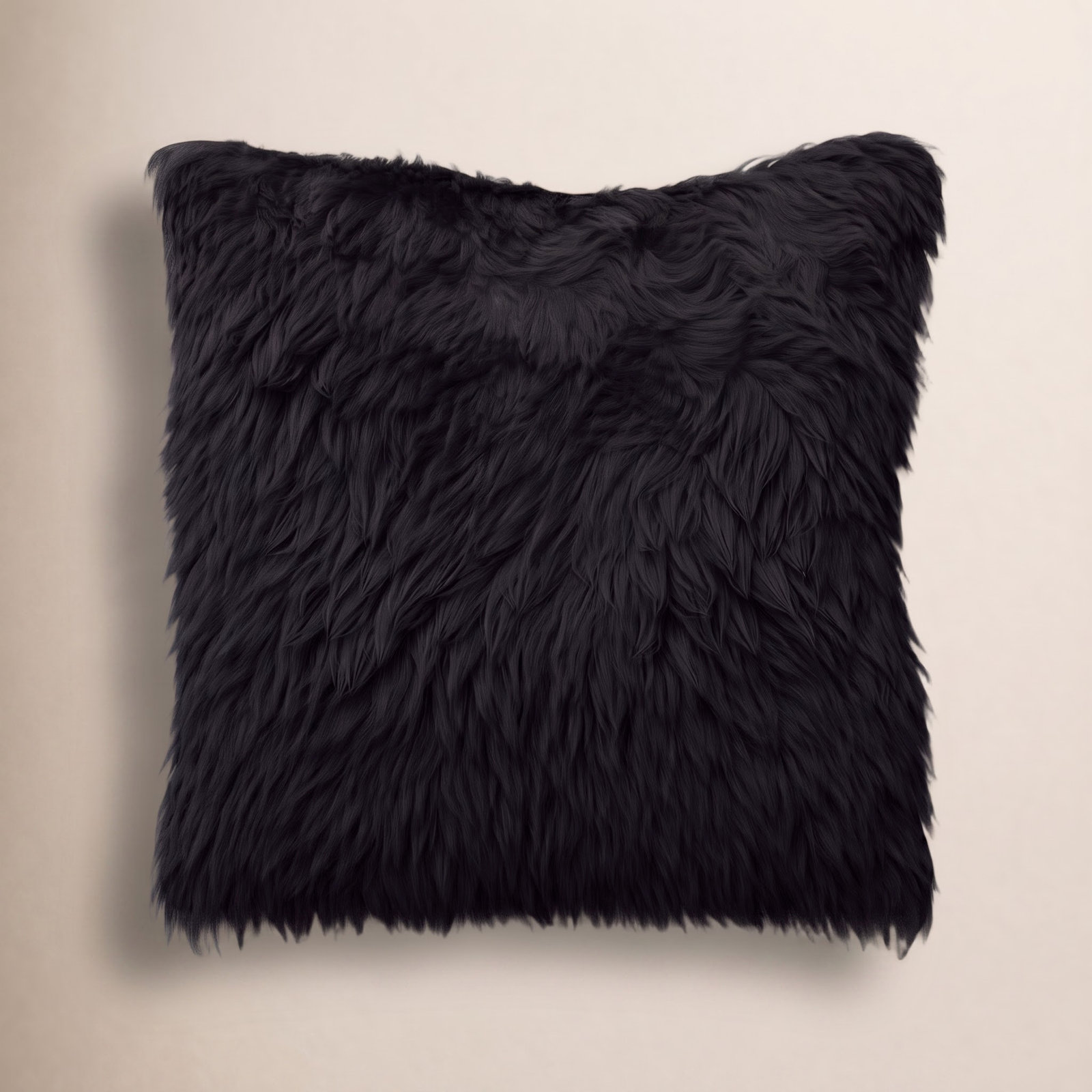 Lecia 20" x 20" Throw Pillow, Black