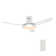 Daffodil Smart Ceiling Fan with Remote, Light Kit Included, Works with Google Assistant, Amazon Alexa, and Siri Shortcuts.