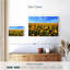 Alvord Marigold Field-111831094