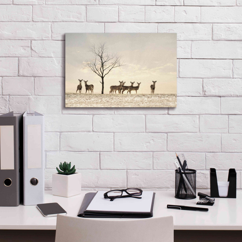 «Bathampton Doe A Deer On Canvas» par Lori Deiter, reproduction, H 12 po x l 18 po x P 0,75 po
