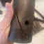 Customer photo 2 of 4