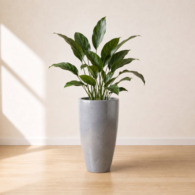 ECOBO Eco-Friendly Round Pot Planter, VicenzaIndoor/Outdoor use,Four Season Use