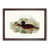 Walnut Framed