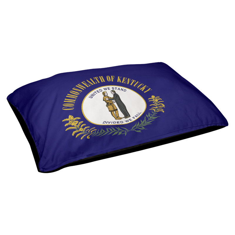 Coussin de concepteur de pavillon kentucky Burien, L 32,5 po x l 42,5 po, Noir