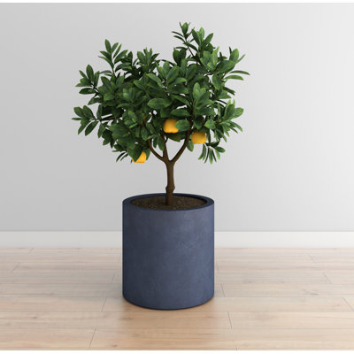 Gethsemane Handmade Pot Planter