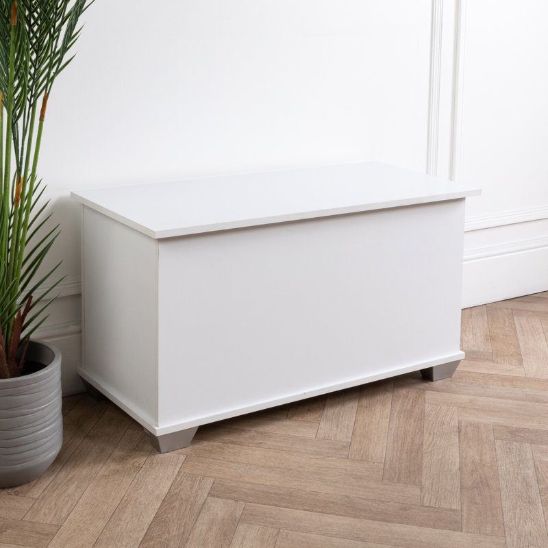 Solid + Manufactured Wood Blanket Chest, White