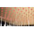 Rain Fixed Shower Head 2.5 GPM GPM-86582642