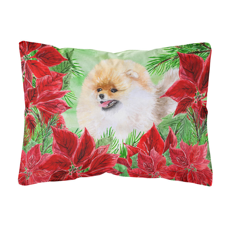  Coussin décoratif intérieur / extérieur Pomeranian Poinsettias