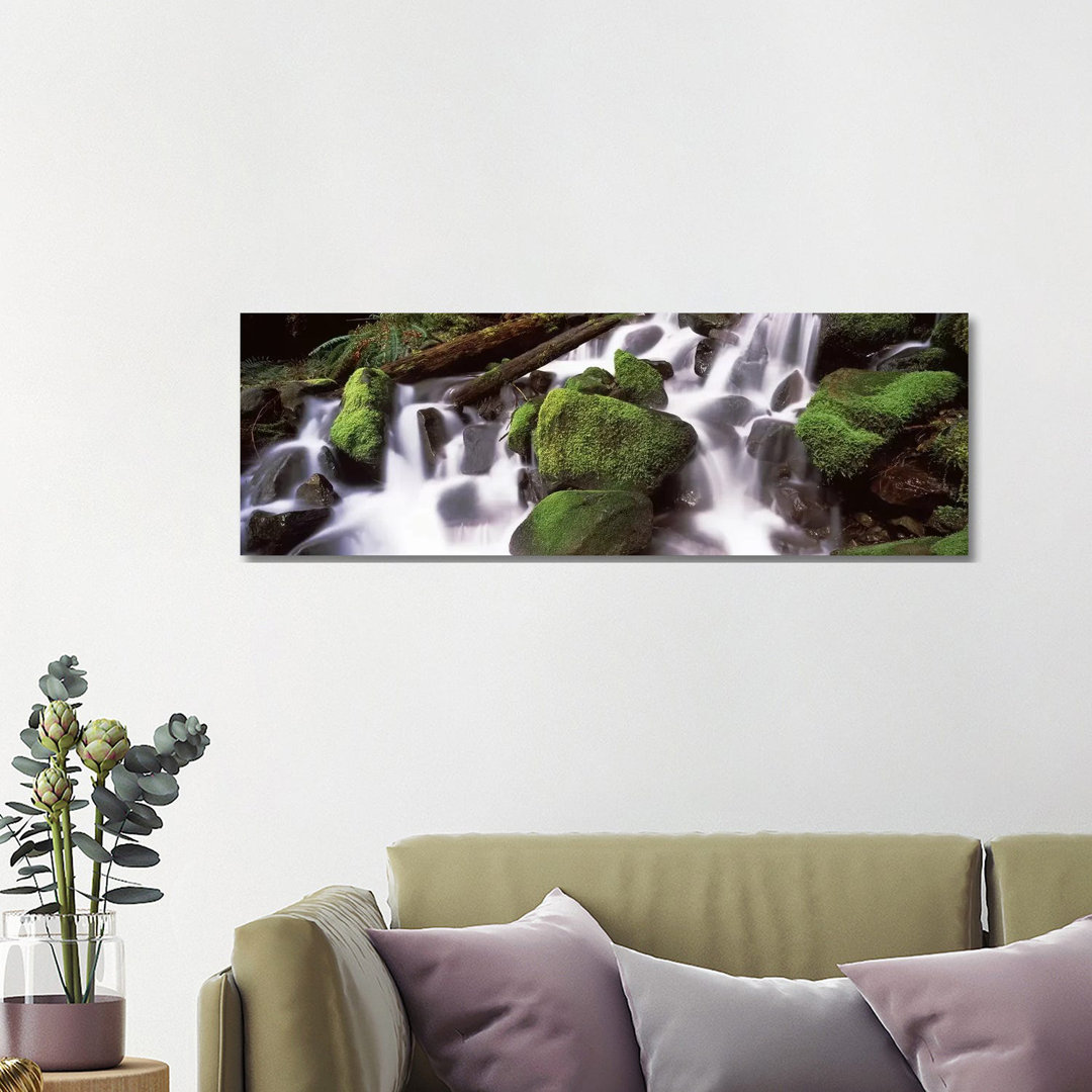 Cascading Waterfall In A Rainforest, Olympic National Park, Washington State, USA - Wrapped Canvas Panoramic Print
