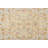 Chattahoochee Oriental Rug-520771259