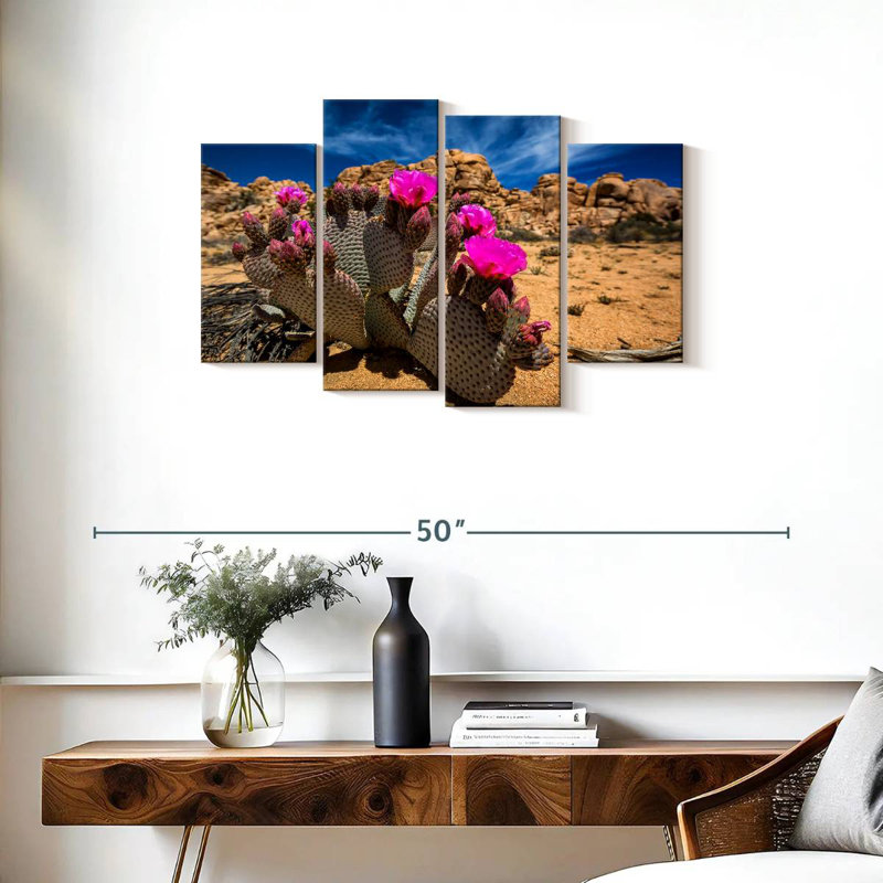 Cactus Harnek Beavertail, H 22 po x l 36 po