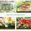 Serre de jardin de 6 pi x 3 pi, fabriquée en acier, 2 housses en PE / plastique et fenêtres enroulables, cycle de croissance des plantes prolongé, serre portative à double facteur de protection de 3 pi, cadre avec housses, fenêtres pour jardin,