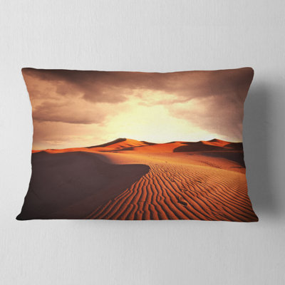 Coussin Designart