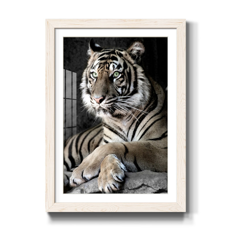 Tigre de Sumatra - reproduction de photo sur papier encadrée, H 37,5 po x l 27,5 po x P 1,5 po, Blanc