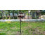 Bird Bath Birdbath