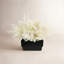 Arrangement floral Pampas dans un vase-1457981623-1457981620