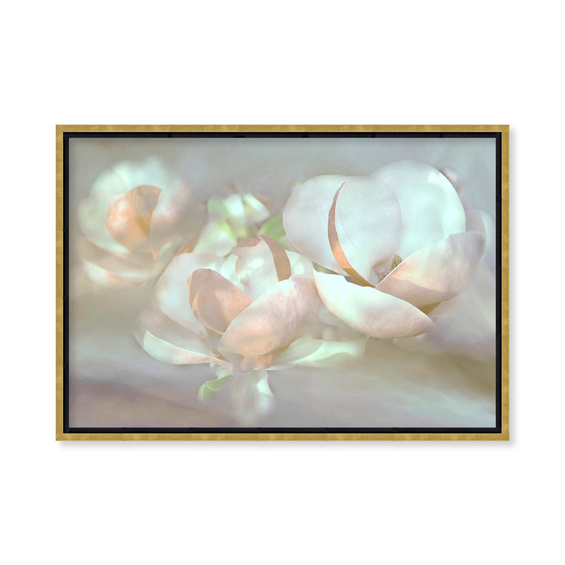 Rêves de magnolia inspirés de la nature par Christina Sillén, H 24 po x l 30 po, Gold, Floater Framed