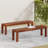 Patio 61.75'' Bench( Set Of 2 )
