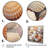 " Beige Clam Seashell Symphony III "-482737543-482737542