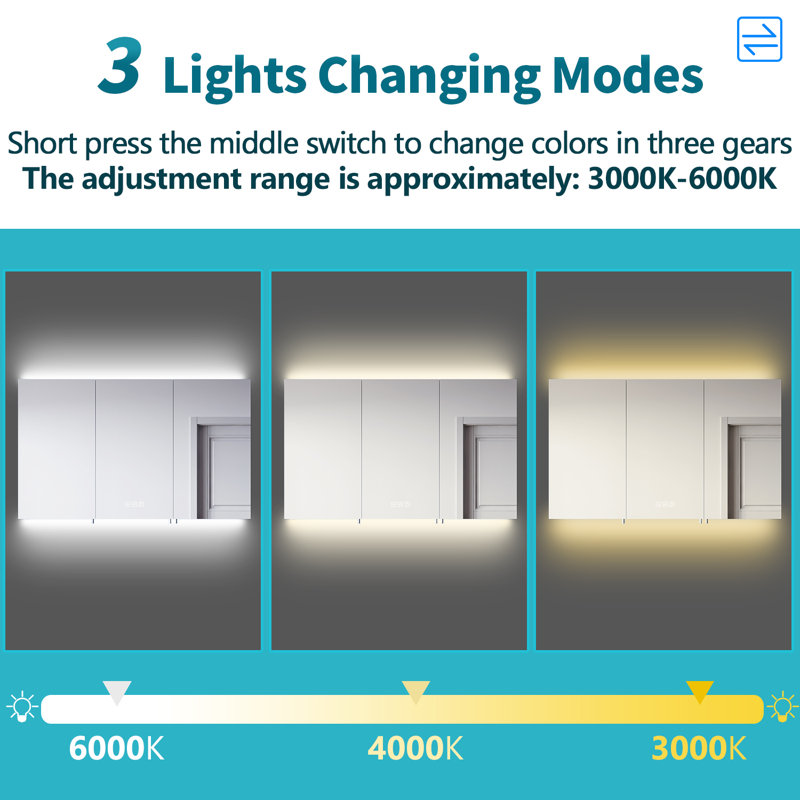 100mm W 60mm H Medicine Cabinet Mirror 5 Adjustable