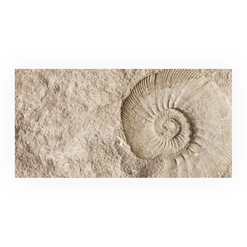 Flemings 45cm W x 90cm L Metal Peel and Stick Panel