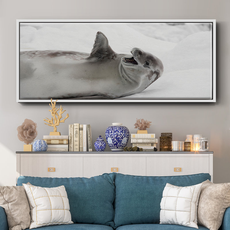 «Laughing Seal» - Toile encadrée, H 8 po x l 20 po