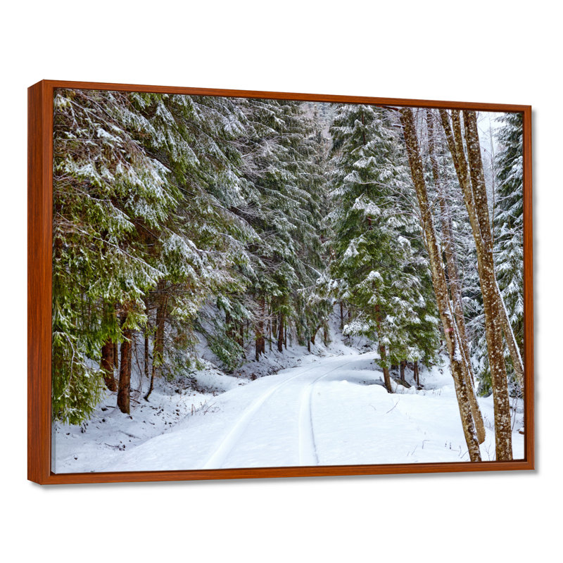 «Winter Forest», reproduction d'art sur toile, route enneigée dans la forêt, H 12 po x l 20 po, Cadre flottant, Brun
