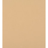 Essential Cottons Canvas Fabric
