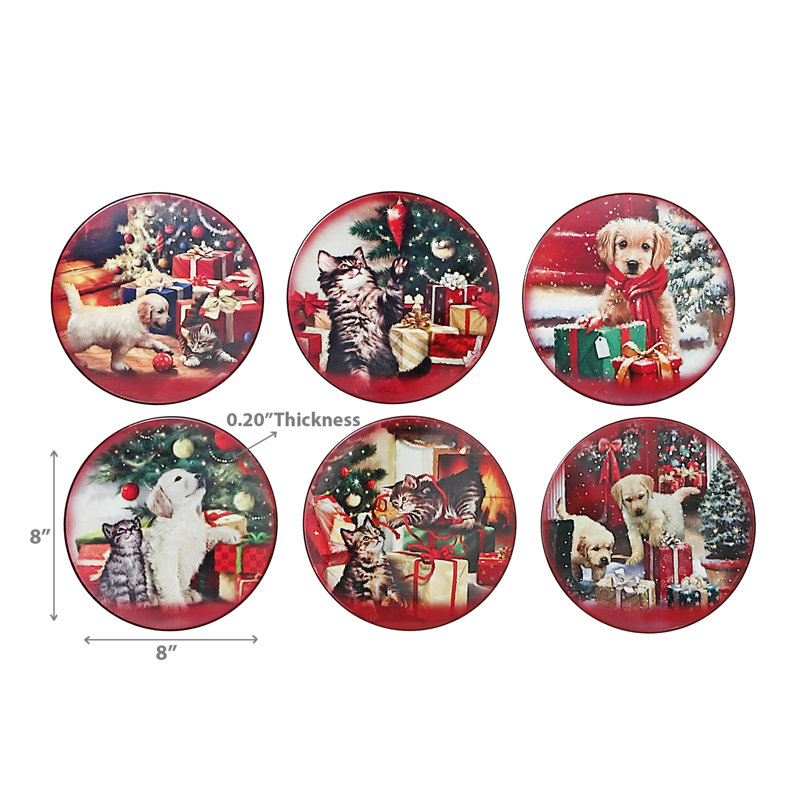 Ceramic Round 6 Piece Coaster Set