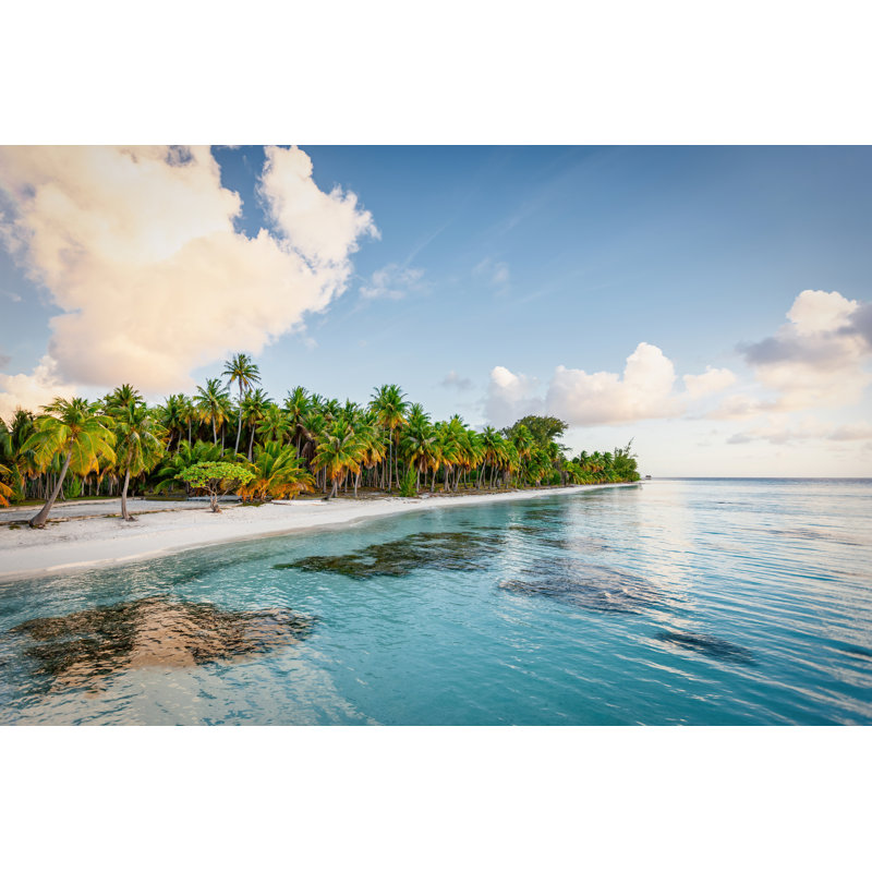 Fakarava Atoll Island Beach - Wrapped Canvas Print, 51cm H x 76cm W x 3.8cm D