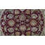 Hand Woven Wool Oriental Area Rug