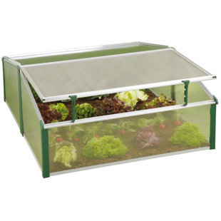 CF 120/100 Cold Frame