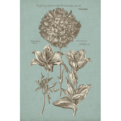 Chambray Chintz IV - Wrapped Canvas Painting