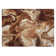  Malchow Non-Slip Indoor Door Mat