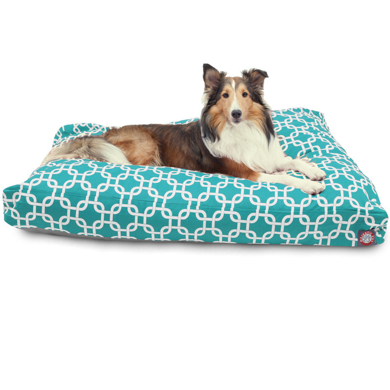 Coussin Links Orthopedic, Grand (l 36 po x P 44 po x H 5 po) ;, Corail
