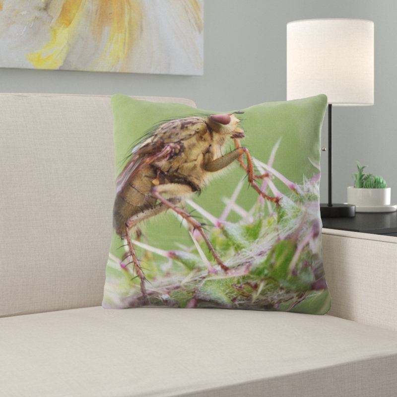 Coussin décoratif fly