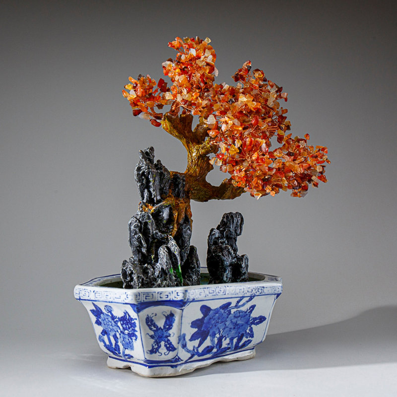 Véritable bonsaï cornaline en pot carré en céramique (13 po)