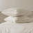 Double Stitch 100% Cotton Sheet Set-107142718-107142719