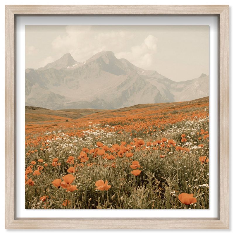 Orange Poppies Print by Oliver Gal, 13.5" H x 13.5" W, Natural Oak Shadowbox