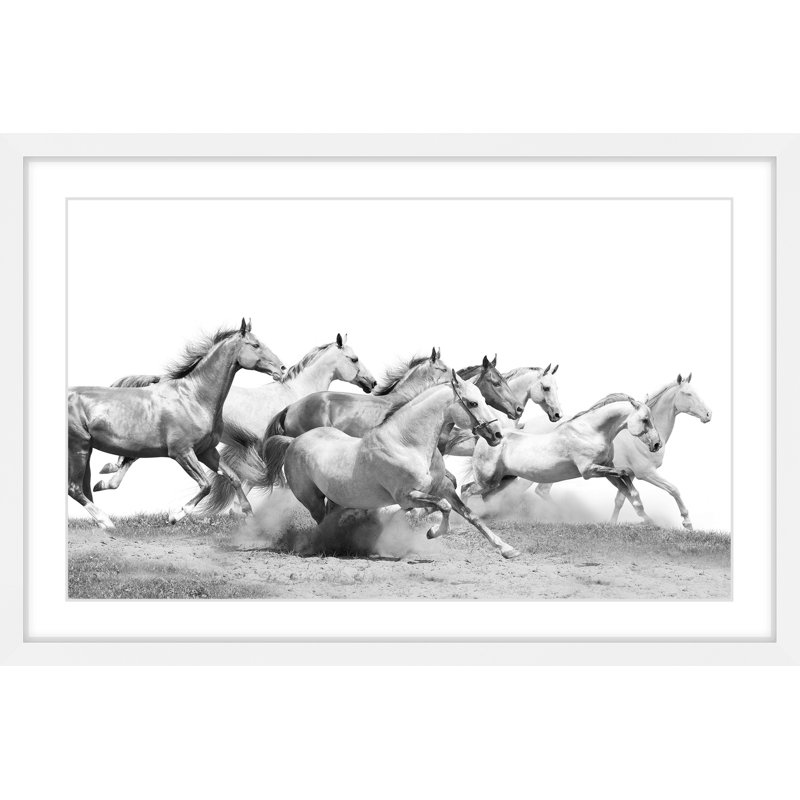 " Horseplay ", 20" H x 30" W x 1.5" D