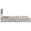 Bed Frame-250217691-250217695